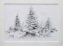 Forest Stream 2, 7x10 inches,  graphite pencil, 2008
